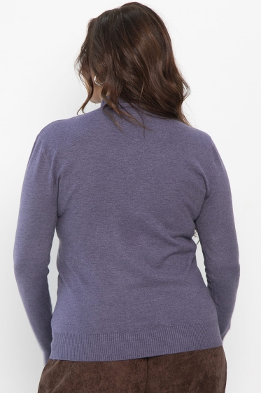 Водолазка Осенняя история (фиолетовая) Б14549-20М